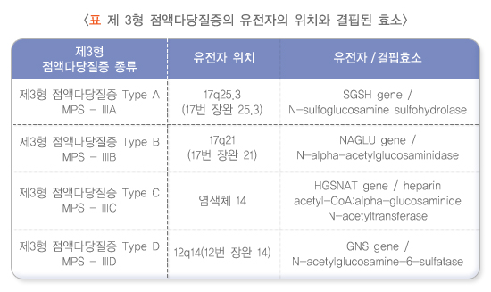 제3형 점액다당질증의 유전자의 위치와 결핍된 효소
